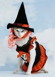 Disfraces de gato para halloween..
