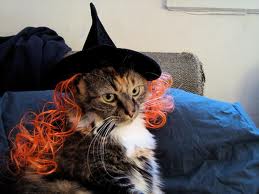 Disfraces de gato para halloween.