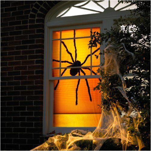 how-to-decorate-windows-for-hallowee-15