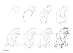 Como dibujar gatos (1)