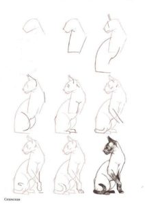 Como dibujar gatos (2)