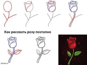 Como dibujar rosas rojas realistas (4)
