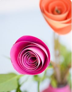 Como hacer rosas con espirales de papel (1)