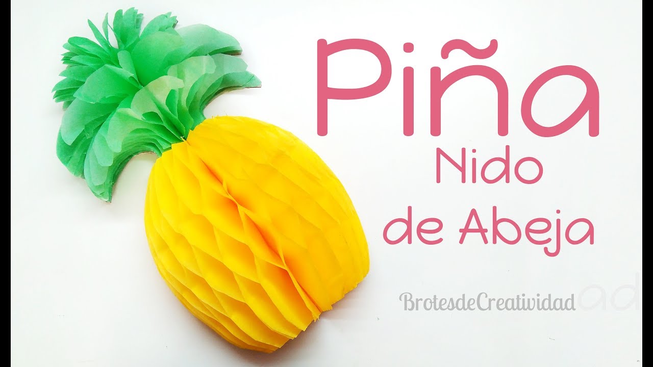 Como Hacer Papel A Base De Piña